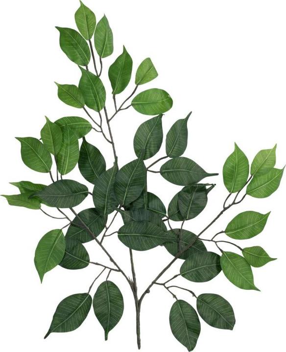 Produktbild Europalms Ficuszweig Benjamina, künstlich, 12x