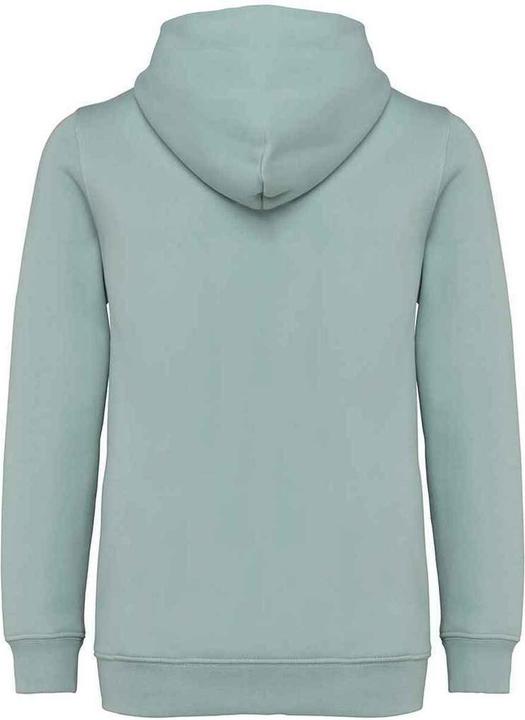 Immagine prodotto Native Spirit Felpa con Cappuccio e Zip Intera Bambini (122, 128)