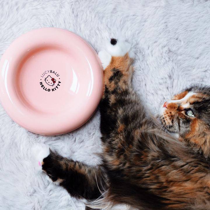 Image du produit LucyBalu DROP Katzennapf - Hello Kitty Edition