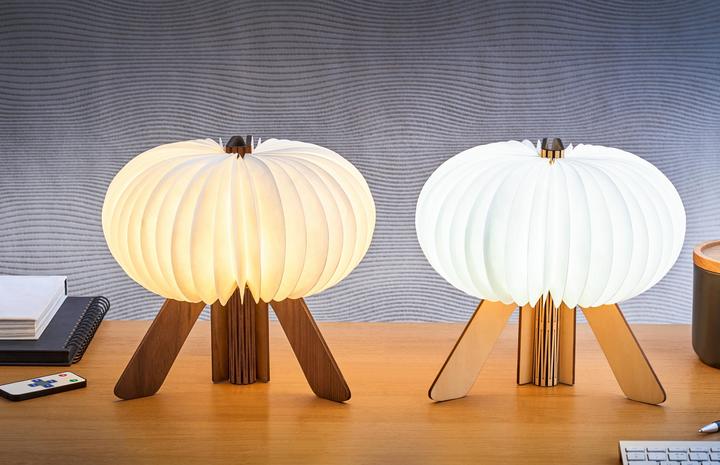 Actual product image Gingko The R Space Lamp