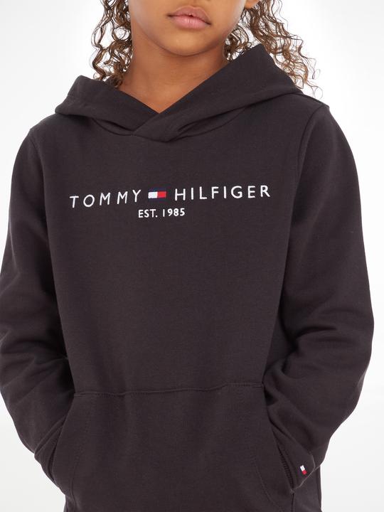 Image du produit Tommy Hilfiger Hoodie Essentiel (92)