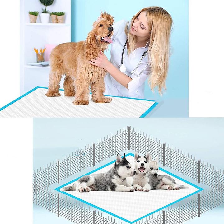 Produktbild Esmée Hygienematte (Hund)