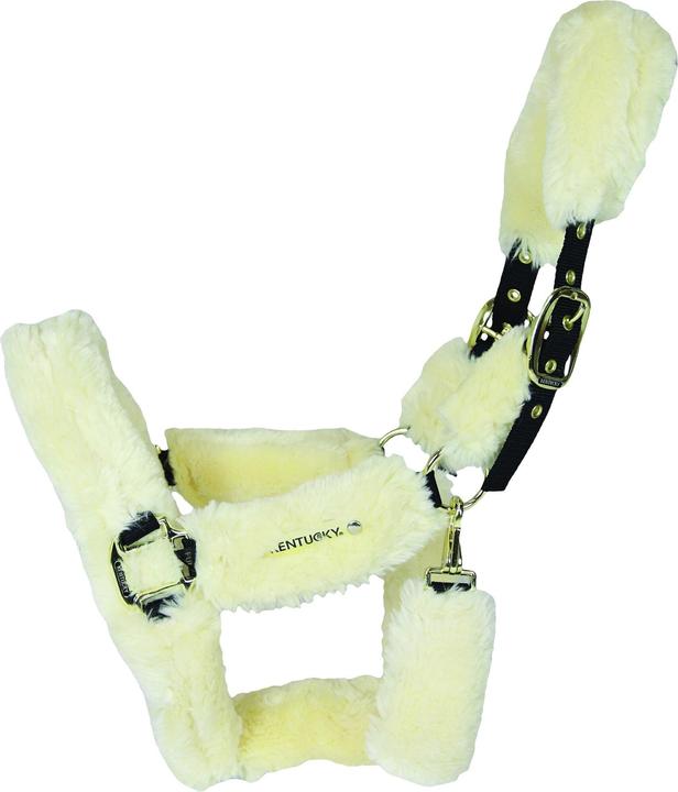 Kentucky Horsewear Transport-Schäfchenhalfter mit Kopfstück
