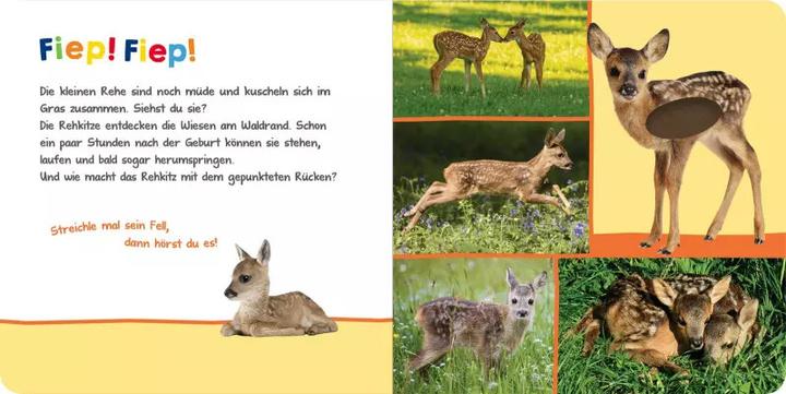 Produktbild Hör mal rein, wer kann das sein? - Im Frühling (Deutsch, 2021)