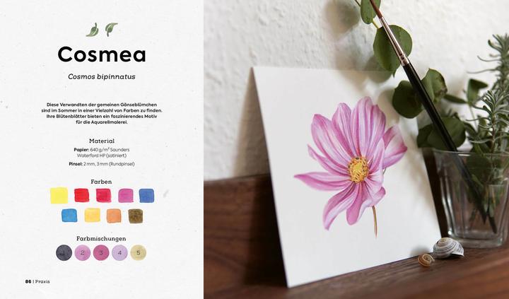 Produktbild Botanicals – Naturmotive in Aquarell