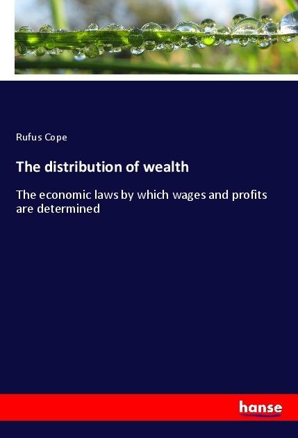 Produktbild The distribution of wealth (Rufus Cope, 2017)