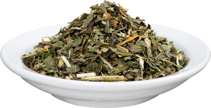 Produktbild Salus Freetox Löwenzahn-Brennnessel basischer Kräutertee, 75 g Tee