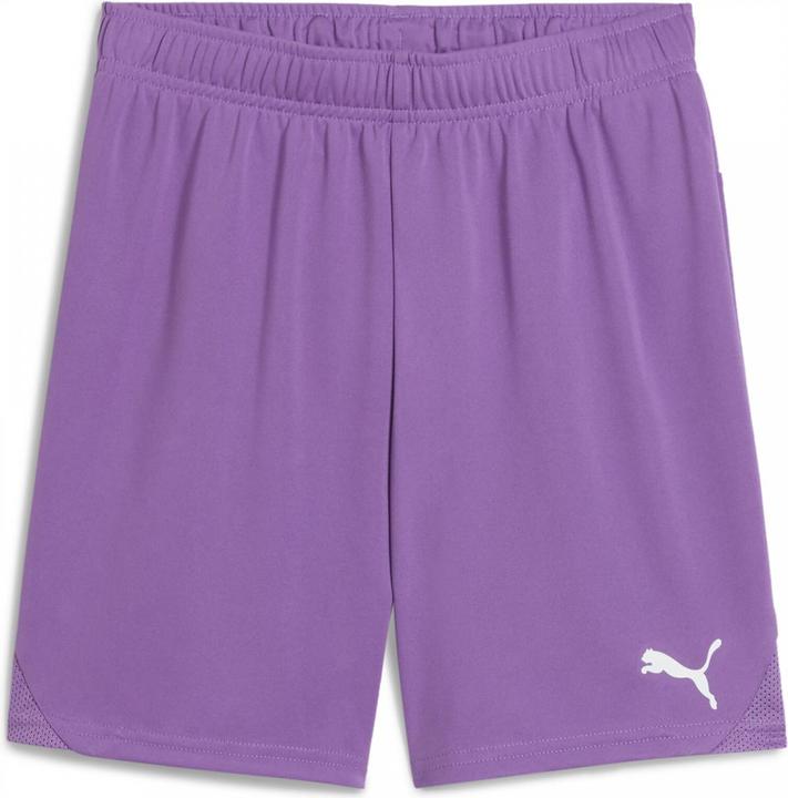 Actual product image Puma teamGOAL Shorts Jr (164)