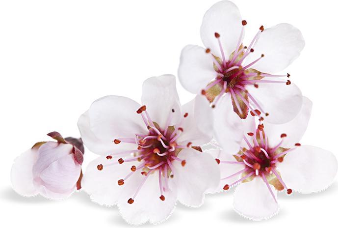 Produktbild Air Wick Pure