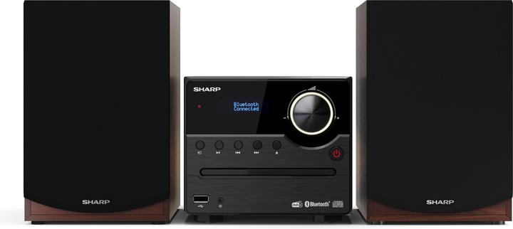 Immagine prodotto Sharp XL-B517BR (Multisala, Bluetooth, 2x 45 W)