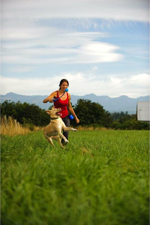 Image du produit Chuckit! CHUCK IT! The whistler dog ball M - Balle pour chien - 2 pièce(s) (Jouet à mâcher pour chien)