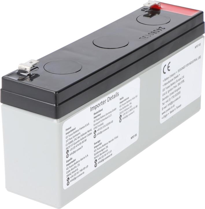 Actual product image Yuasa NP3-6 Akku Blei PB 6 Volt 3Ah Faston 4,8mm (6 V, 3 Ah)