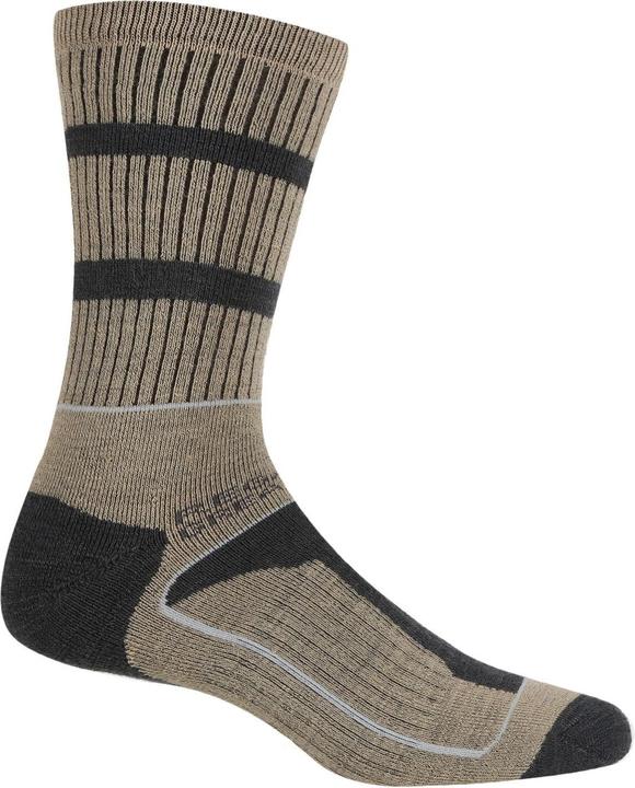 Produktbild Regatta Samaris 3 Season Socken (2erPack) (2er Pack, 43 - 47)