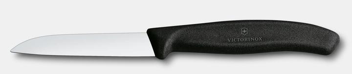 Actual product image Victorinox Swiss Classic (8 cm)