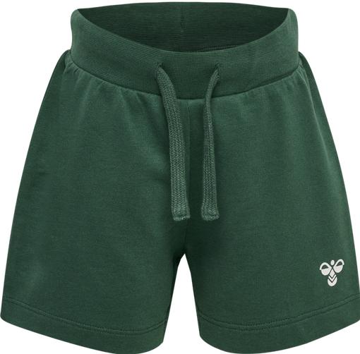 Actual product image hummel Hmltrue shorts (68)