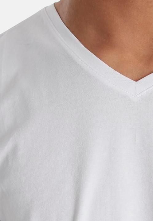 Actual product image Blend BHBHDinton V-neck tee 2-pack 701996 (M)