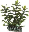 Image du produit Dohse Bacopa, 7 cm (Décoration, autres éléments)