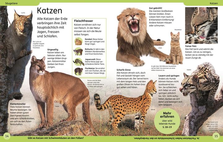 Immagine prodotto DK Kinderlexikon Tiere (Tedesco, DK Verlag - Bambini, 2023)