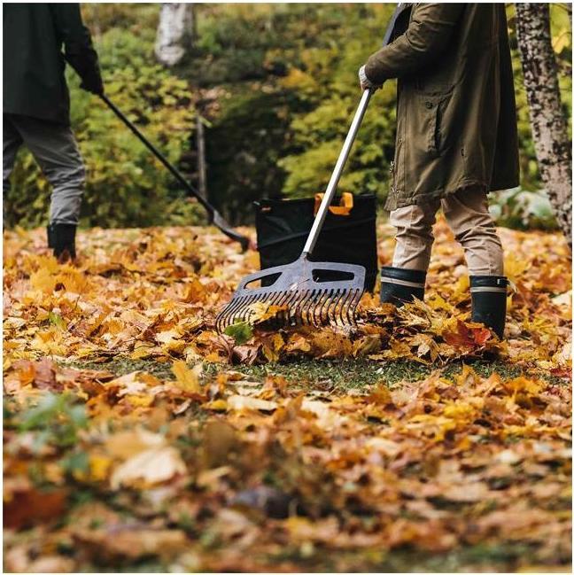Image du produit Fiskars Xact