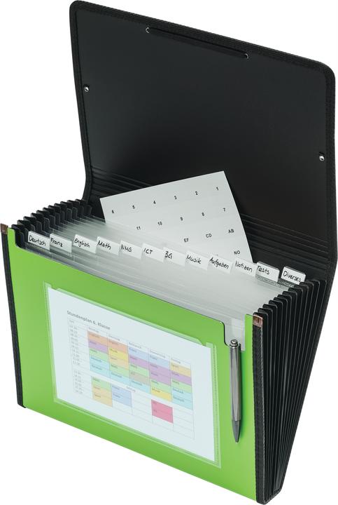 Actual product image Kolma Fan folder A4 superstrong 12 tabs green (A4, 1 x)