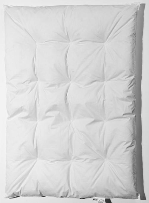 Image du produit Billerbeck Sandra (100 x 135 cm)