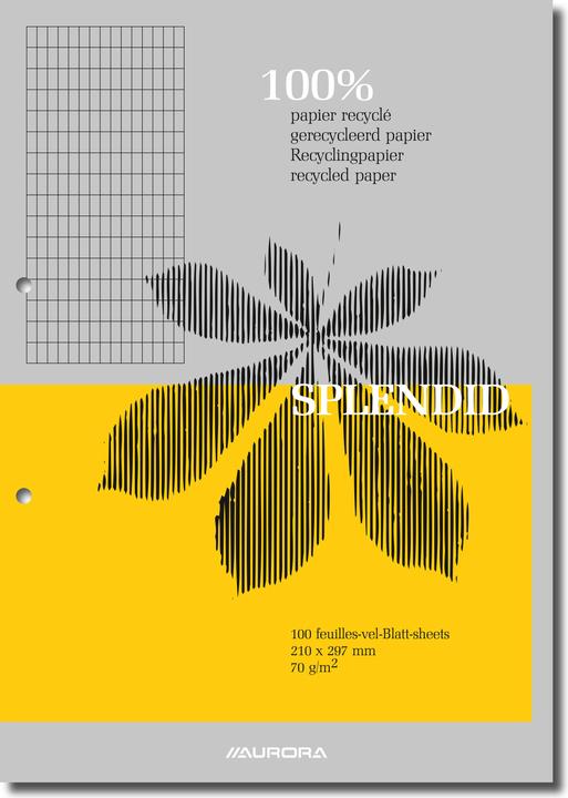 Produktbild Aurora Notizblock Splendid Geleimt DIN A4 Kariert Papier Farbig sortiert D102RC (A4, Kariert)