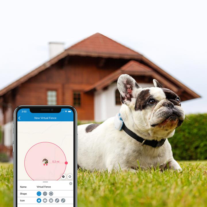 Actual product image Tractive Dog 4 GPS Tracker for Dogs (One size, Dog, General)