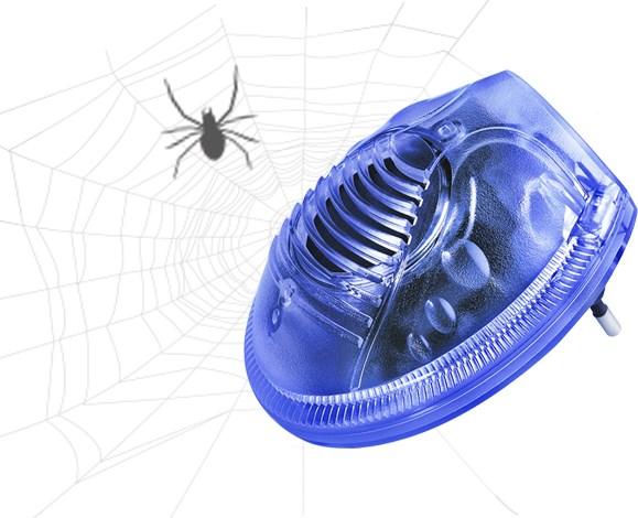Image du produit Sonnenkönig Mini araignée
