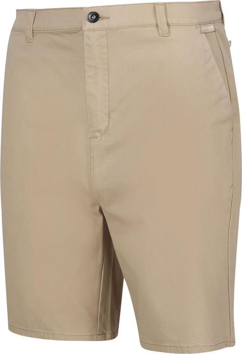 Actual product image Regatta Mens Sabden Chino Shorts (42)