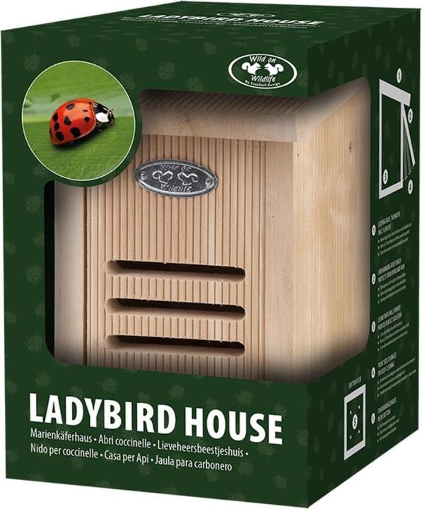 Immagine prodotto Esschert Design Coccinella