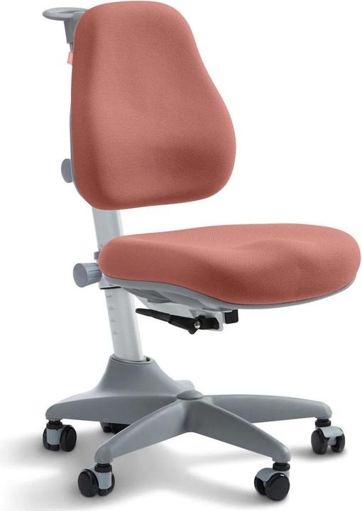 Flexa Chair Verto Misty Rose