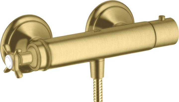 Brushed Brass