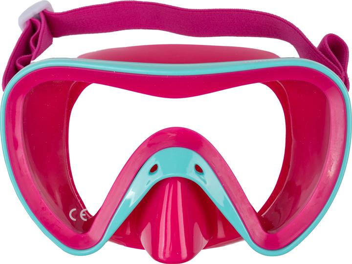 Mares Mask Turtle