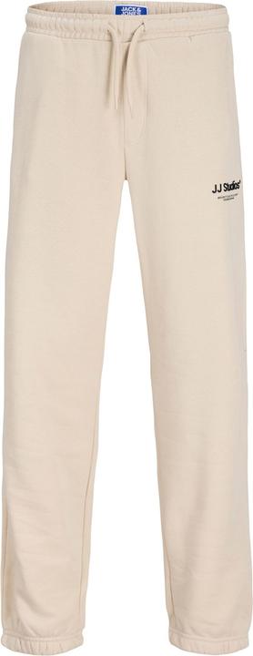 Actual product image Jack & Jones Relaxed Fit Hosen Junior Relaxed Fit Hosen (176)