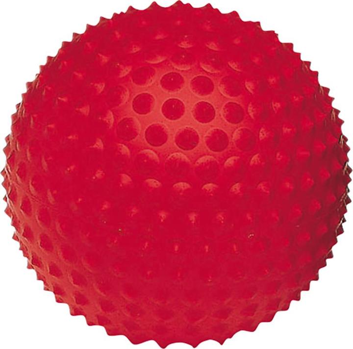 Togu Hedgehog ball Senso Ball Mini