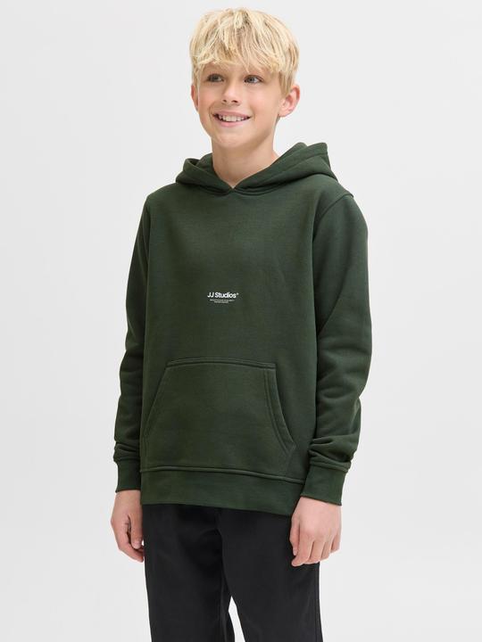 Actual product image Jack & Jones Jjesoho Sweat Hood Noos Jnr (140)