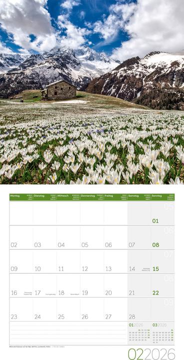 Produktbild Alpen Kalender 2026 - 30x30 (30 x 30 cm, Harter Einband, Französisch, Englisch)
