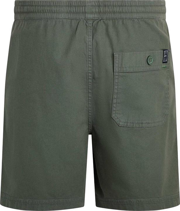 Actual product image Weird Fish Mens Weston Canvas Shorts (Frequency band 38 (2600 MHz))
