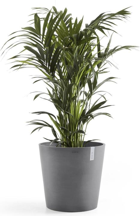 Produktbild Ecopots Amsterdam (60 cm)