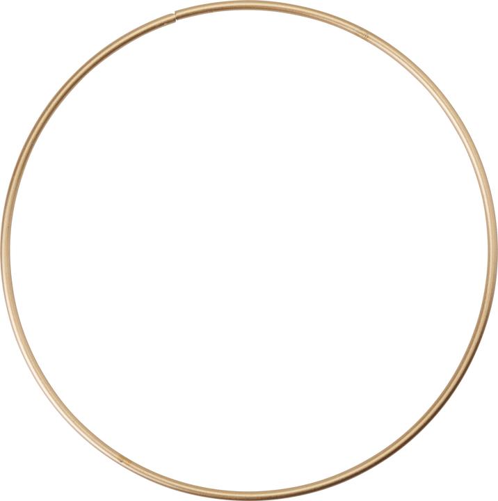 Actual product image Hobby Fun Metal ring "Circle", gold-coloured