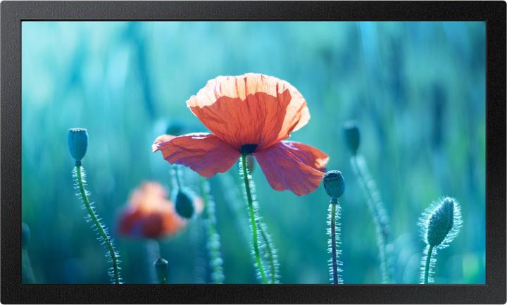 Produktbild Samsung Smart Signage QB13R (1920 x 1080 Pixel, 13")
