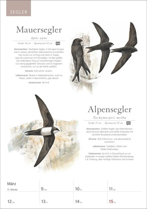 Produktbild Harenberg KOSMOS Was fliegt denn da? Wochenplaner 2026 - Der Kalender zum KOSMOS-Naturführe (Deutsch)