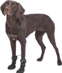 Produktbild Trixie Walker Active Long protective boots, XL, 2 pcs., black (XL, Hundeschuhe)