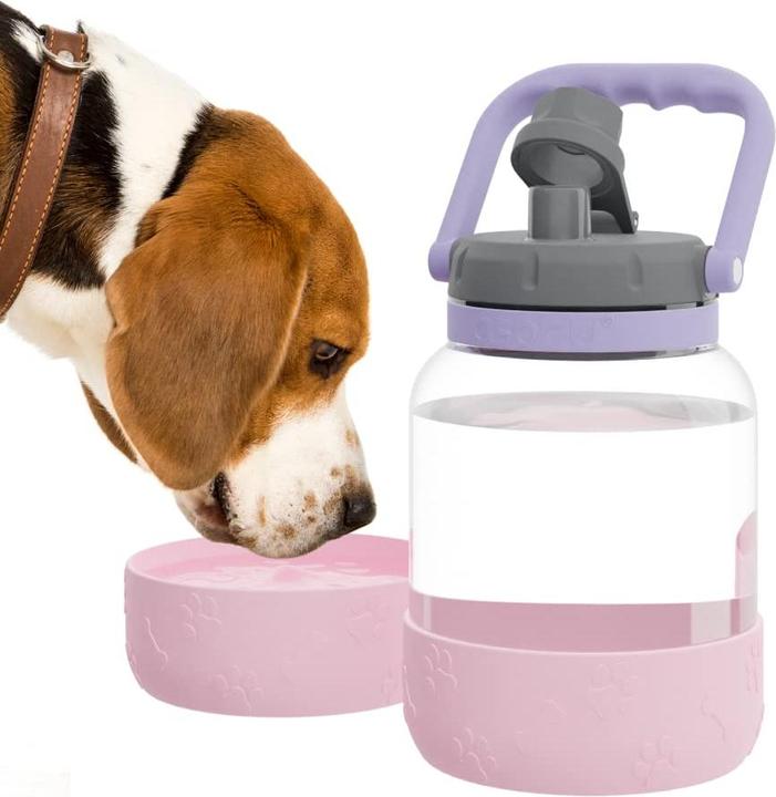 Asobu The Barkely Bowl Bottle - pink - (84259104617) (1.50 l)