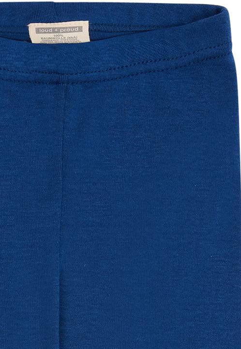 Image du produit loud + proud Legging (122)