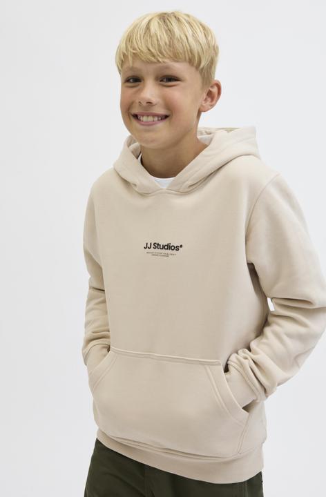 Actual product image Jack & Jones Jjesoho Sweat Hood Noos Jnr (164)