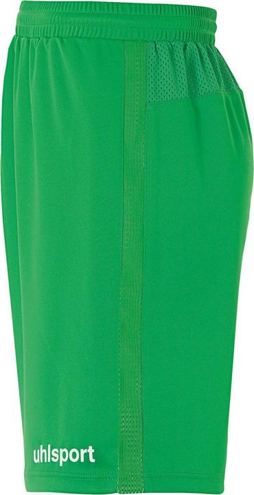Actual product image Uhlsport Performance Shorts (L)