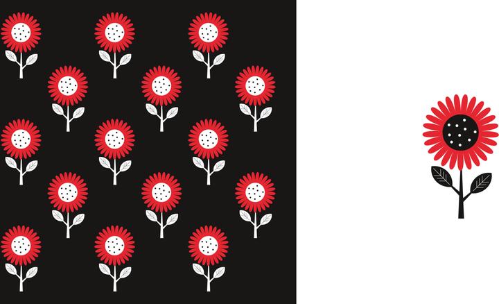 Actual product image Gegensätze schwarz-weiss-rot (Baby Montessori) (German)