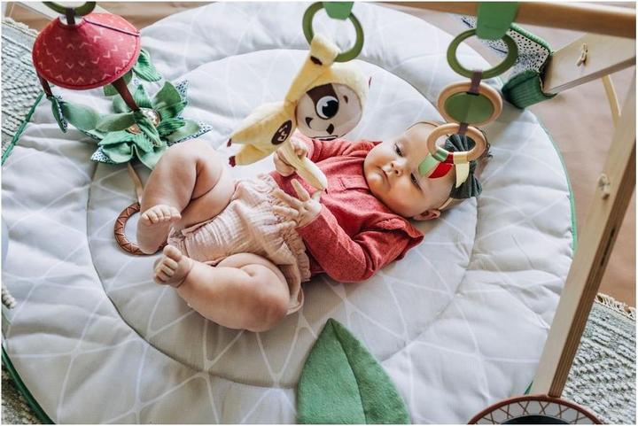 Image du produit Tiny Love Boho Chic Luxe Gymini de développement