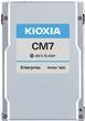 Actual product image Kioxia SSD 1.6TB CM7-V Series 2.5" PCIe 5.0 NVMe (1600 GB, 2.5")